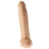 Champs Gode réaliste Veiny Champs 23 x 6cm